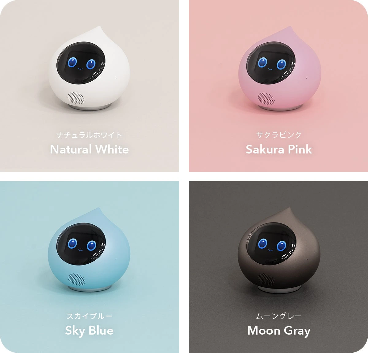 Four Romi Lacatan conversation robots in white, pink, blue and grey.